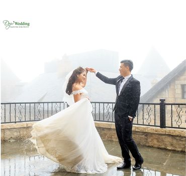Gói chụp ngoại cảnh Đà Nẵng cả ngày - Đẹp+ Wedding Studio 98 Nguyễn Chí Thanh - Hình 4
