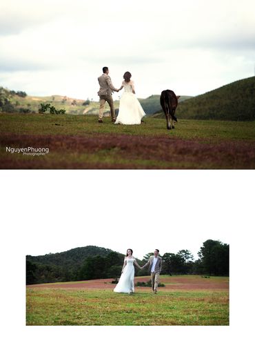 Anh cuoi da lat - noi dang den - NGUYENPHUONG PHOTOGRAPHY - Hình 3