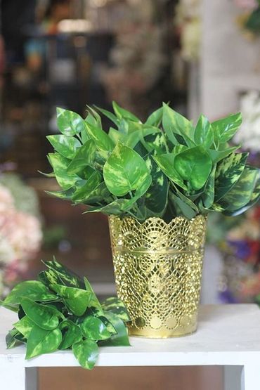 Hoa vải cao cấp - Midori Shop - Phụ kiện trang trí ngành cưới - Hình 56