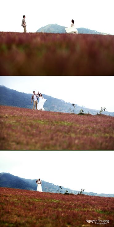 Anh cuoi da lat - noi dang den - NGUYENPHUONG PHOTOGRAPHY - Hình 11